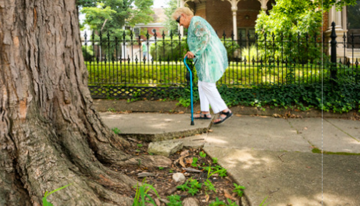 Screenshot 2025-08-14 075437 Screenshot 2025-08-14 075437