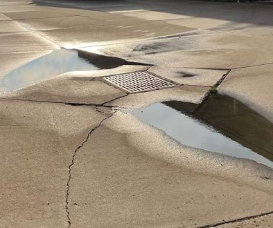 16a12c83-fb84-7f7c-8c85-18bbe4d02203