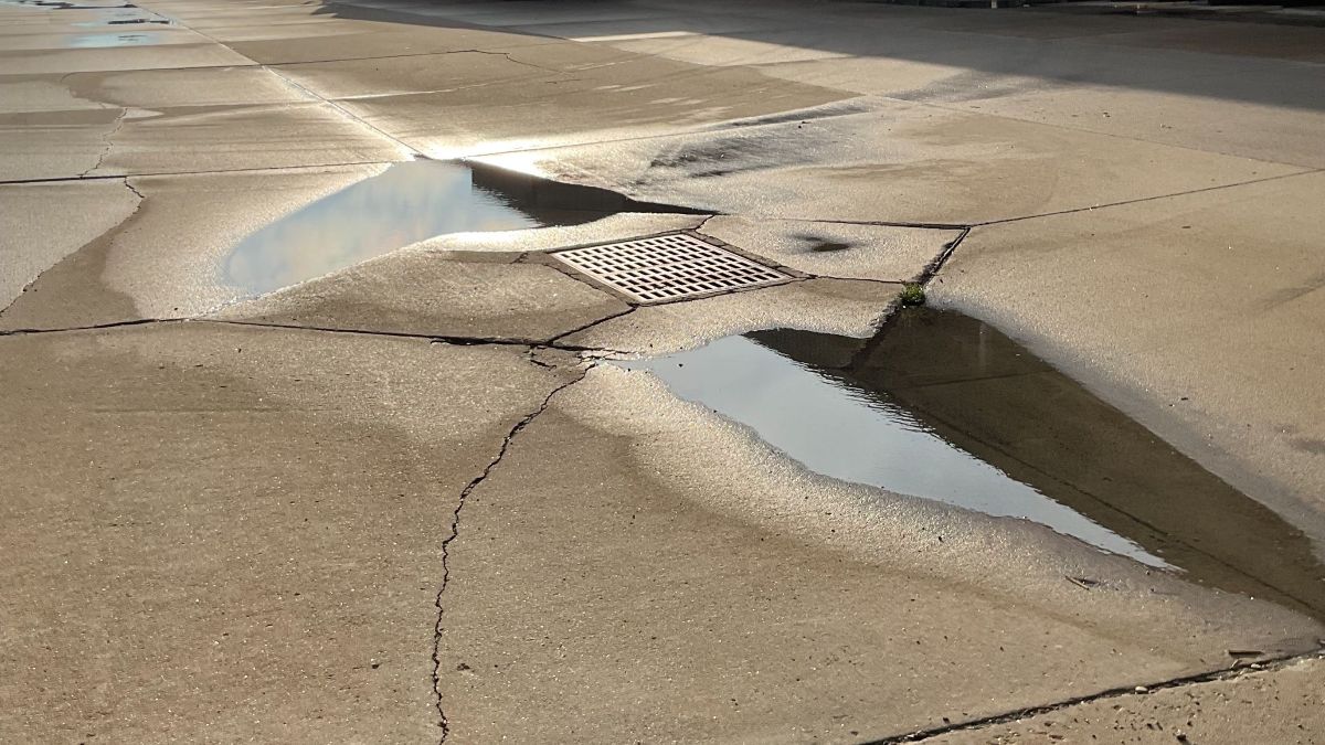 16a12c83-fb84-7f7c-8c85-18bbe4d02203 16a12c83-fb84-7f7c-8c85-18bbe4d02203