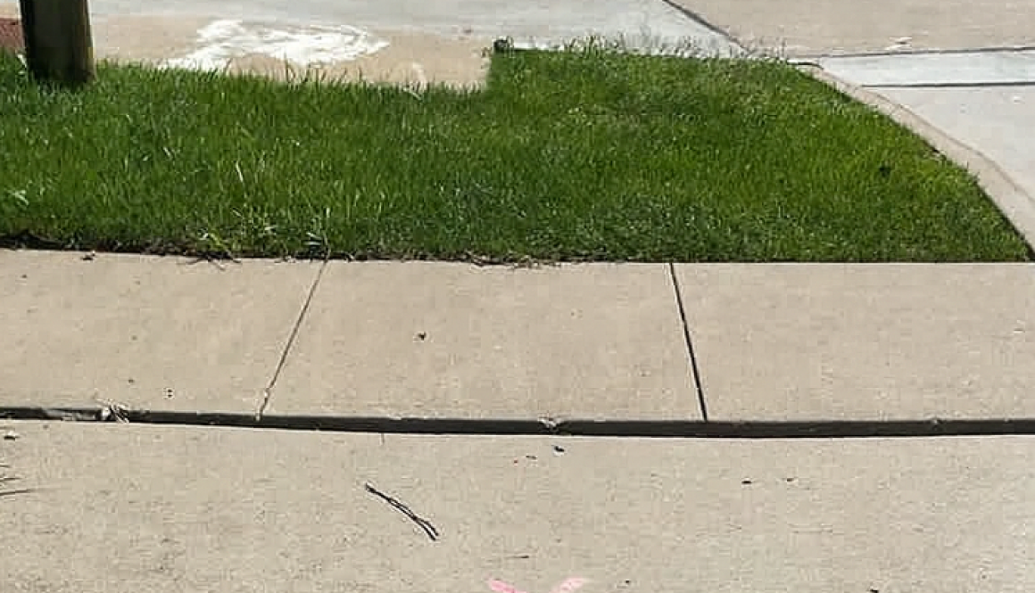 6a388ea9-b289-2b48-55da-7fd1a1a2e7d9