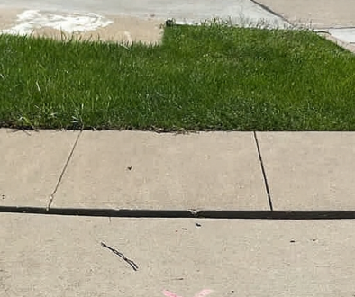 6a388ea9-b289-2b48-55da-7fd1a1a2e7d9